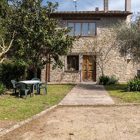 ויקיו Agriturismo Il Ponte - Frantoio מראה חיצוני תמונה