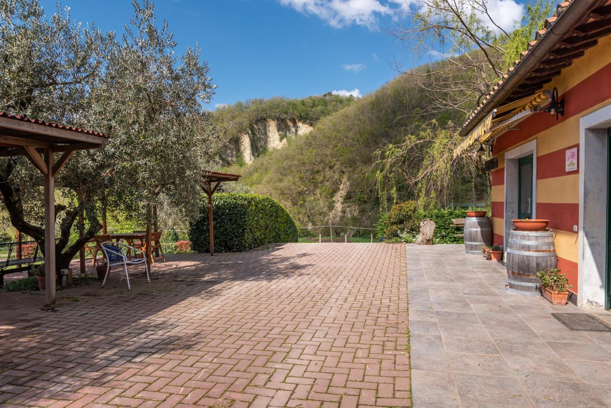 ויקיו Agriturismo Il Ponte - Frantoio מראה חיצוני תמונה